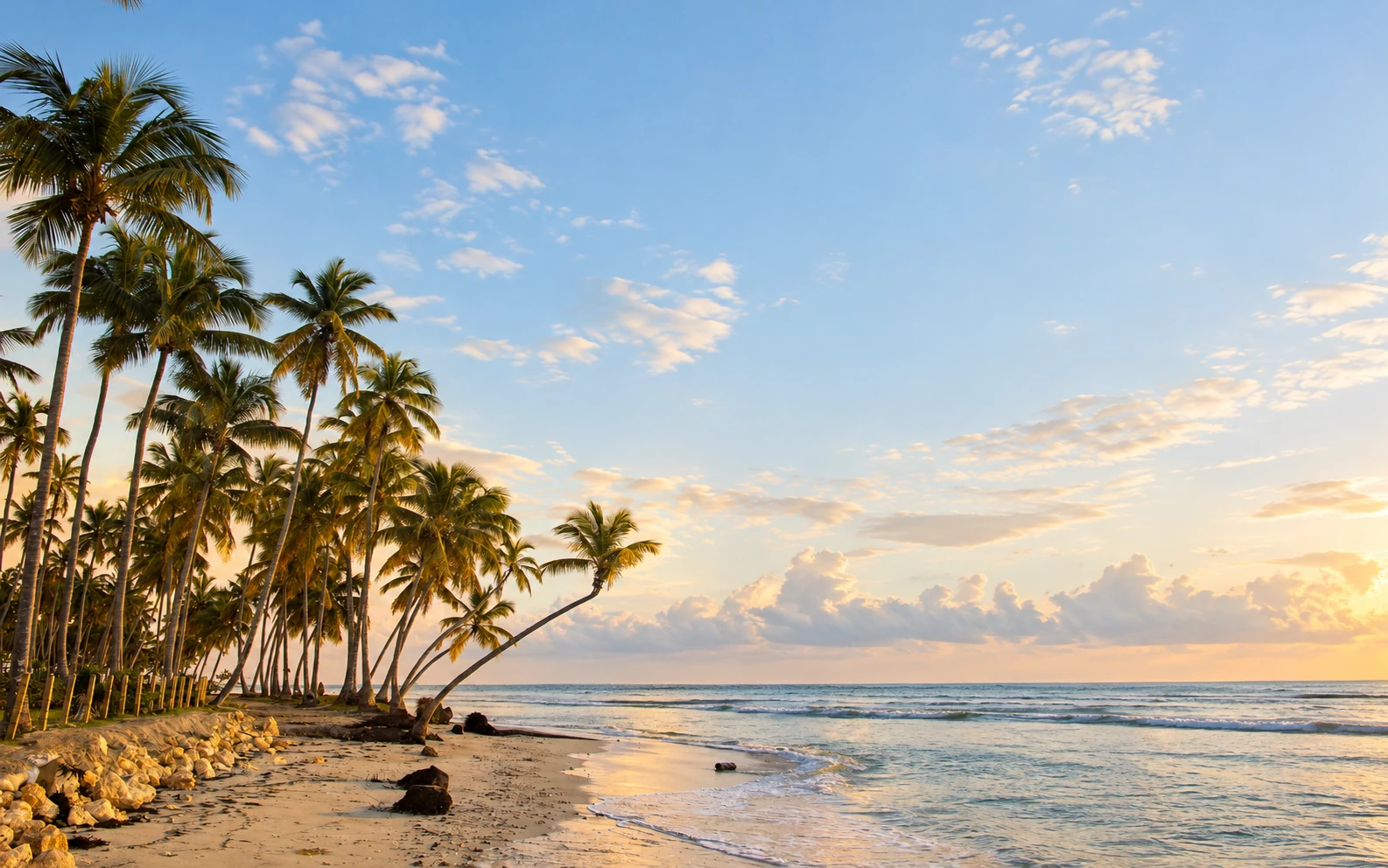 A Caribbean beach in morning light