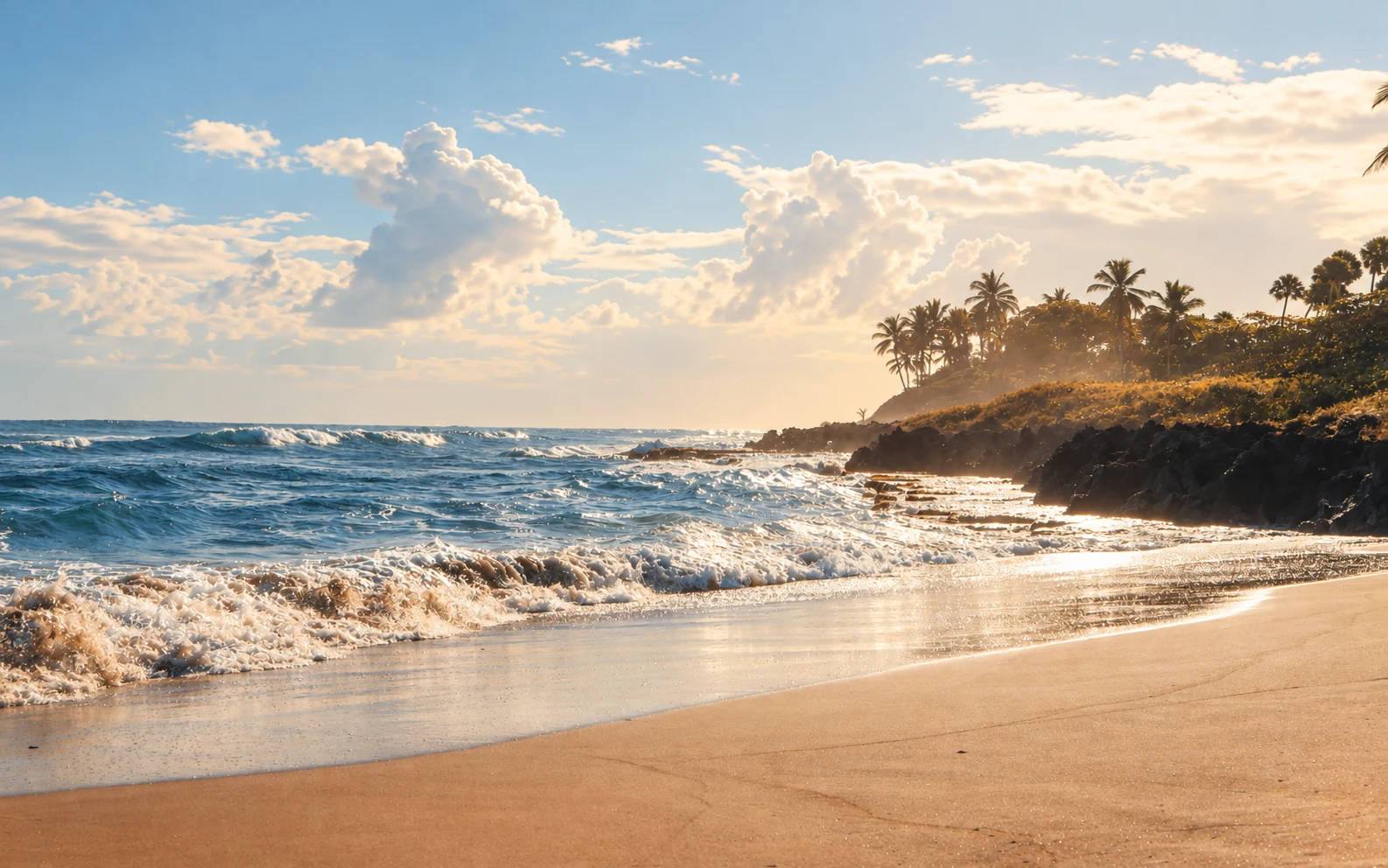 A palm-lined beach with breaking surf